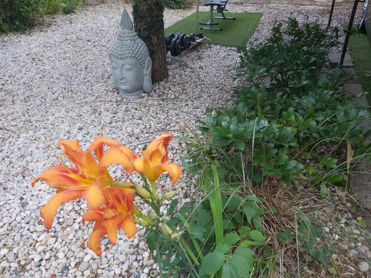 Zen Garden Budha Relax Apartman, parking, BBQ, terrace Siófok Exterior foto